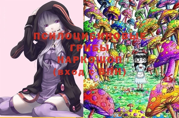 spice Абаза