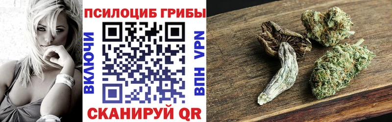 Псилоцибиновые грибы Psilocybe  Кинешма 